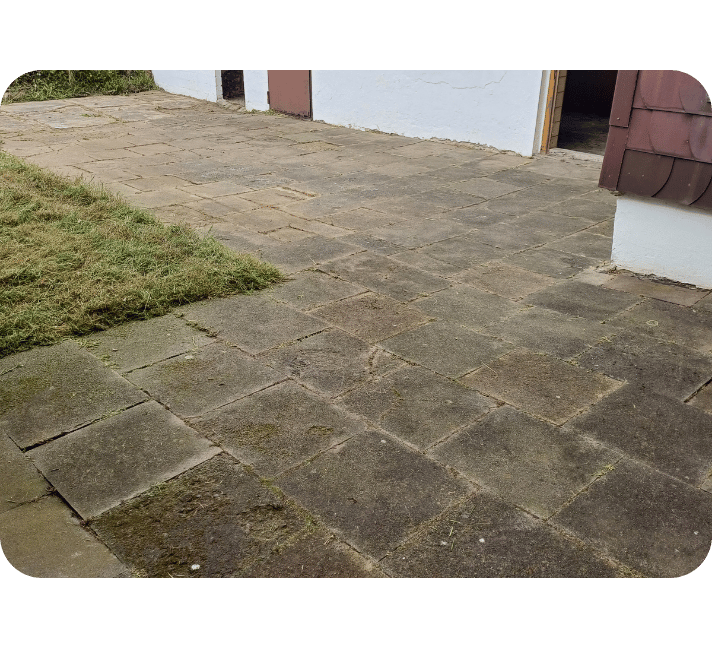 Gartenpflege Salzgitter