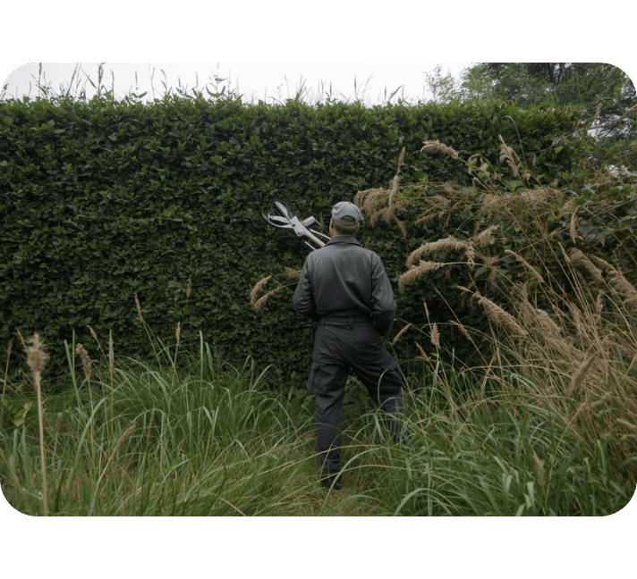 Mitarbeiter von SACO Haus und Garten beim fachgerechten Heckenschnitt