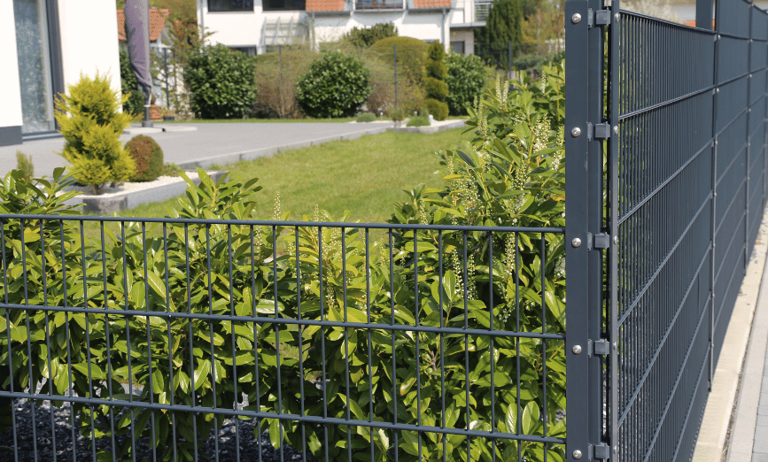 Neuer Zaun mit aufsteigender Höhe in einem gepflegten Garten