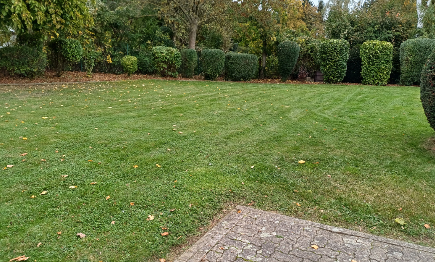 Gepflegte Gartenanlage mit geschnittener Hecke und frisch gemähtem Rasen